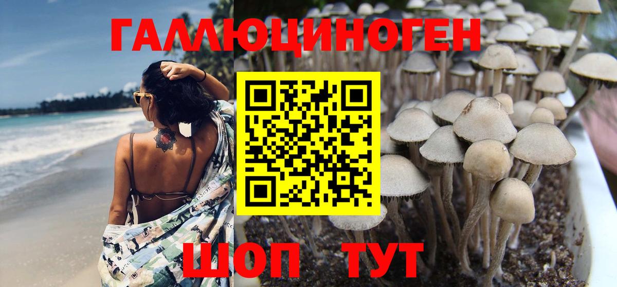 Галлюциногенные грибы мухоморы  Псилоцибиновые грибы MAGIC MUSHROOMS  где купить   Урюпинск  Вход с VPN 